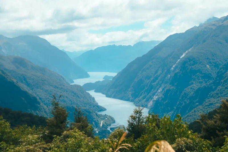 Doubtful Sound serpenteando entre montañas boscosas, visto desde un mirador sobre el fiordo